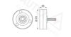 AUTEX 654336 Deflection/Guide Pulley, v-ribbed belt